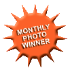 Monthly Photo Contest Winner